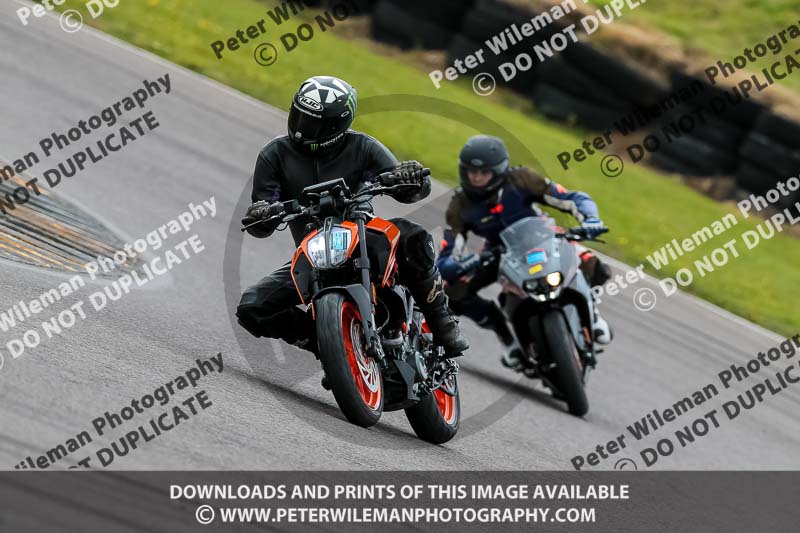 PJ Motorsport 2019;anglesey no limits trackday;anglesey photographs;anglesey trackday photographs;enduro digital images;event digital images;eventdigitalimages;no limits trackdays;peter wileman photography;racing digital images;trac mon;trackday digital images;trackday photos;ty croes